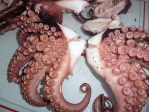 chop octopus